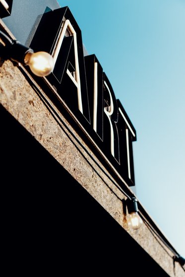 国家让我去当猫